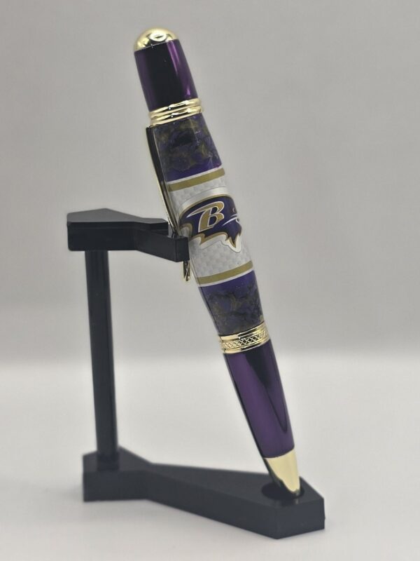M&T Stadium Pen - Image 3