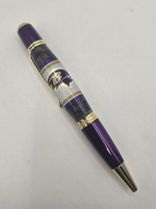 M&T Stadium Pen - Image 5