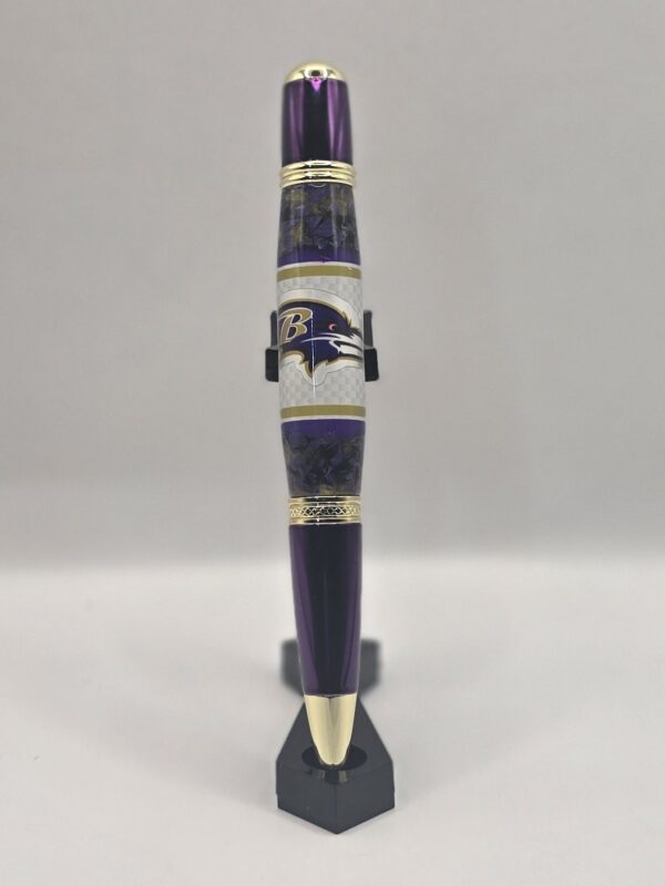 M&T Stadium Pen